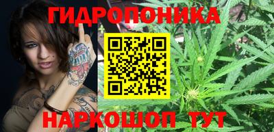 прущие крисы Кинель