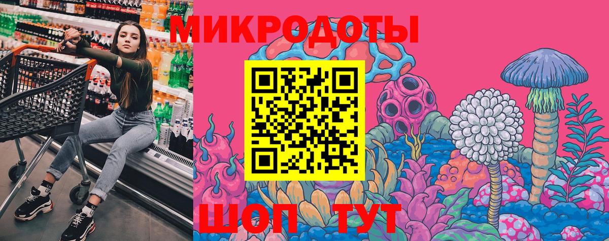 Псилоцибиновые грибы Cubensis Лабытнанги